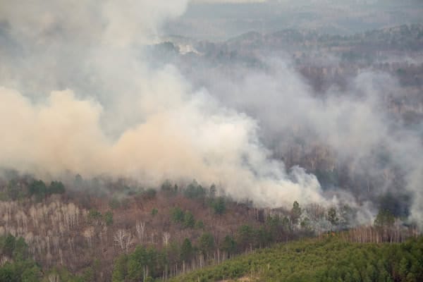Больше половины всех лесных пожаров на Дальнем Востоке приходится на Амурскую область. Новости