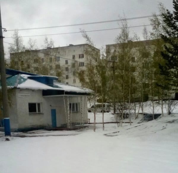 За пять дней до лета в Приамурье выпал снег. Новости