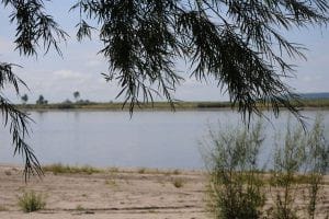 В Свободненском районе на протоке около села Малая Сазанка утонул молодой мужчина