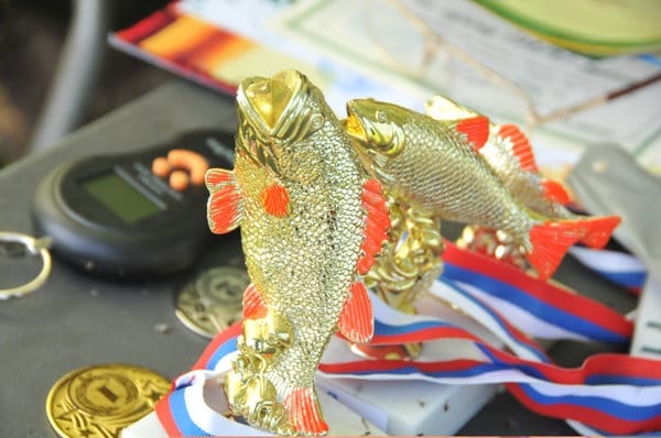 Самых удачливых рыбаков в Свободном наградили на озере Большанка. Новости