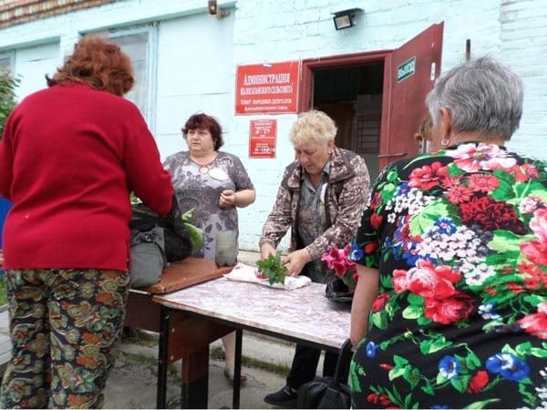 Сельчанки в Свободненском районе провели акцию по обмену рассадой и саженцами. Новости