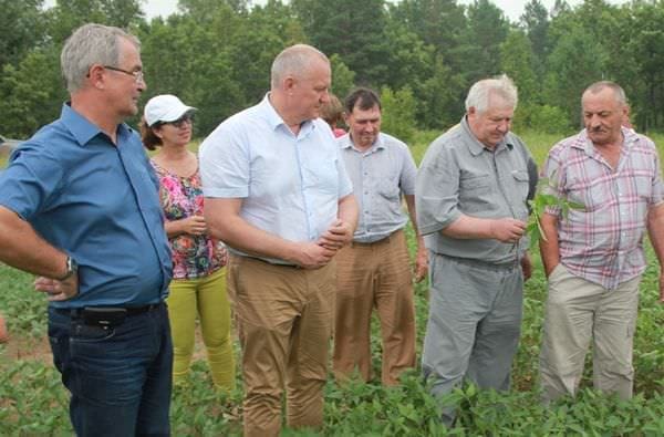 Фермеры Свободненского района поделились секретами мастерства на празднике «День поля»