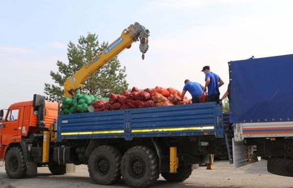 Более 7 тонн амурских овощей отправлено пострадавшим от стихийного бедствия жителям Приморского края