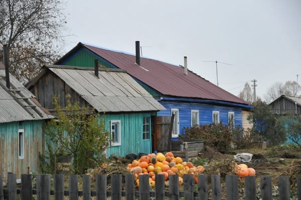 Фермеры Свободненского района надеются только на себя и на сою. Новости