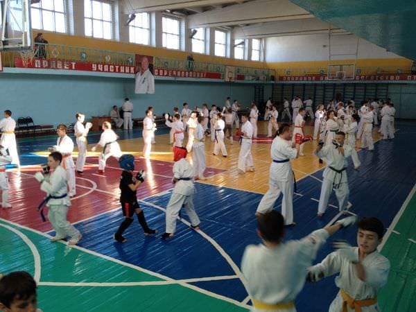 Свободный собрал на Всероссийскую акцию «Зарядка с чемпионом» каратистов со всей области. Новости