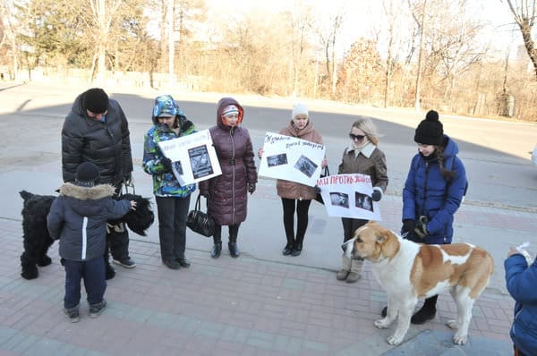 Защитники животных в Свободном провели акцию против жестокости. Новости