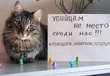 По всей стране люди требуют отправить мучивших животных садисток из Хабаровска за решётку