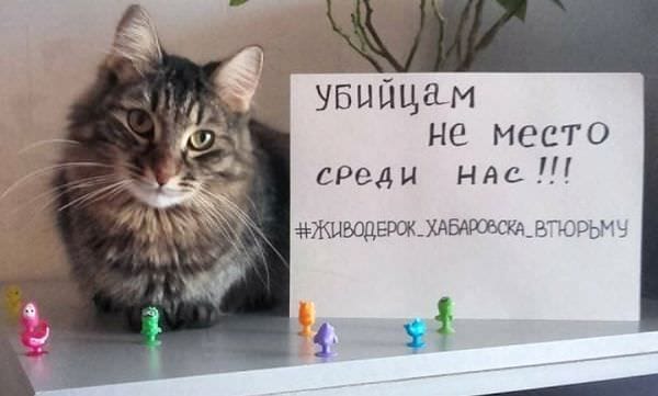Жители страны требуют отправить садисток из Хабаровска за решётку