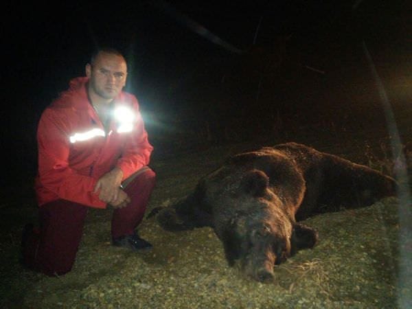 Опасные встречи с медведями на трассах Амурской области происходят всё чаще. Новости