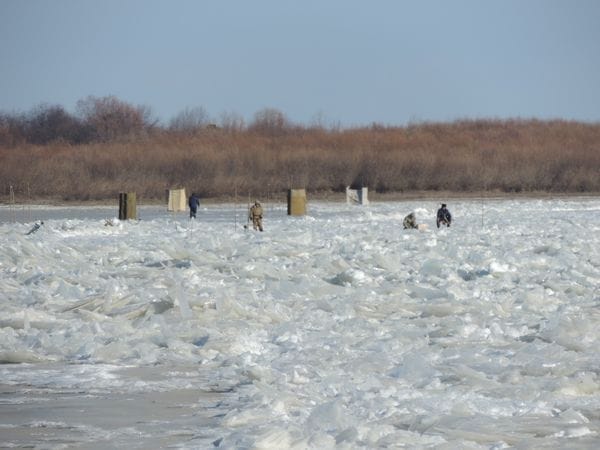 Любителей зимней рыбалки в Свободном не пугает тонкий лёд. Новости