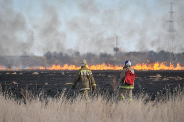 Главы муниципалитетов ответят за лесные пожары на уровне губернатора. Новости