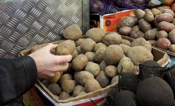 Большинство россиян отметили рост цен на овощи и фрукты