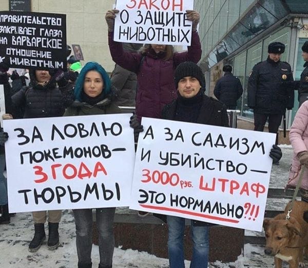 В городах страны проходит Всероссийская акция против живодёрства
