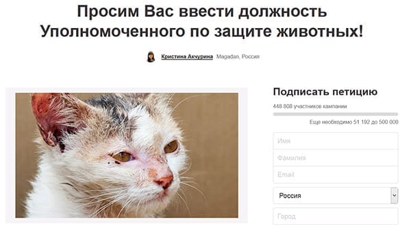 В России требуют ввести должность уполномоченного по защите животных