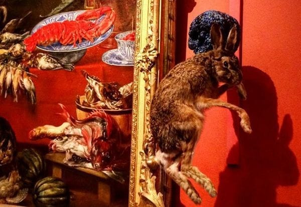 Посетителей Эрмитажа шокировала выставка с мёртвыми животными. Новости