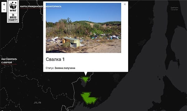 Амурчане смогут сообщать о лесных нарушениях с помощью интерактивной карты