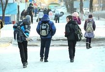 Сильные морозы стали причиной отмены занятий в амурских школах