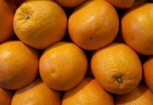 Цены на апельсины в России вырастут из-за неурожая в Турции и Египте