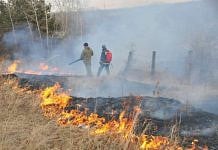 Свыше пяти тысяч гектаров выгорело в Амурской области за сутки