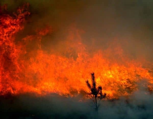 Количество лесных пожаров в Амурской области может значительно увеличиться