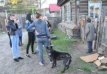 Волонтёры взяли под свой контроль ситуацию с останками животных в одном из дворов Свободного
