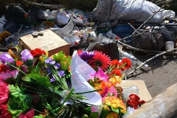 Детсадовцы в Свободном увидели возложенные ими на Мемориале Славы цветы выброшенными в мусор. Новости