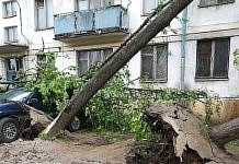 Страшный ураган стал причиной разрушений и гибели людей в Москве