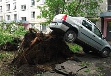 Число пострадавших при урагане в Москве увеличилось до 170