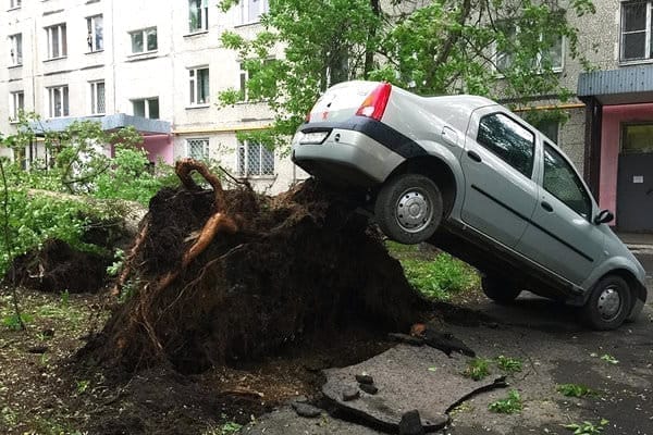 Число пострадавших при урагане в Москве приблизилось к 170. Новости