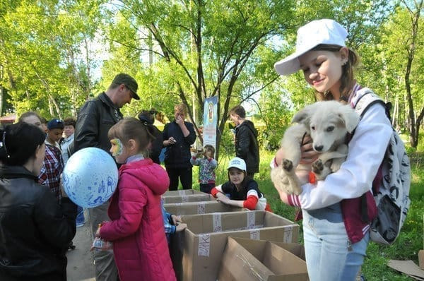 Волонтёры впервые провели в парке Свободного акцию «Верный друг - в каждый дом». Новости
