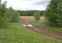 В России расширят площади земель под «дальневосточный гектар» и сократят отказы