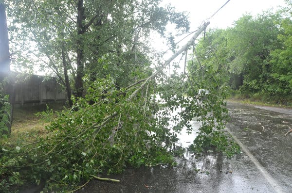 Пронёсшийся грозовой шквал повалил деревья на улицах Свободного. Новости