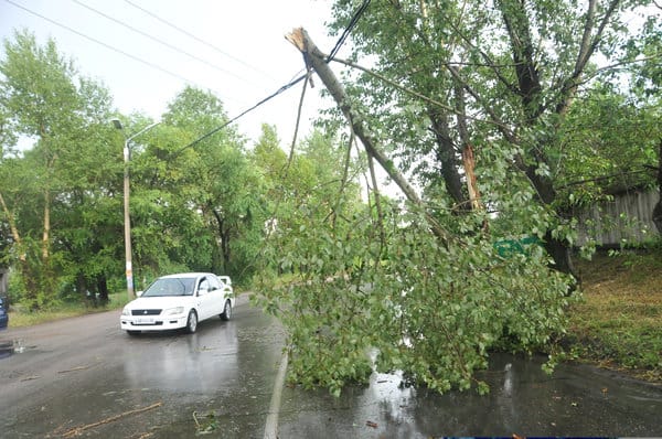 Пронёсшийся грозовой шквал повалил деревья на улицах Свободного. Новости