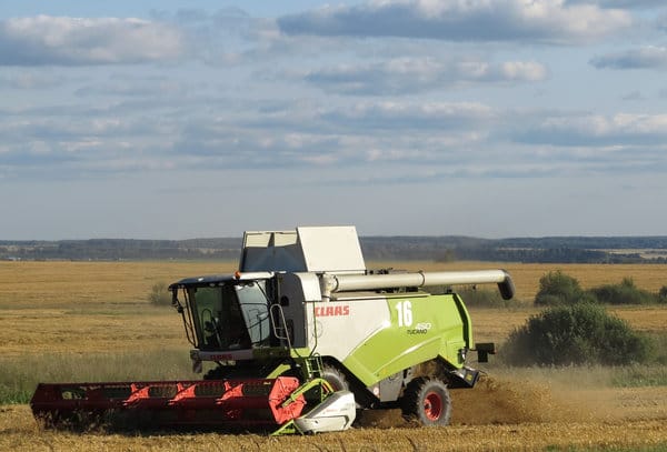 Рекордный урожай зерновых в России может привести к дефляции. Новости