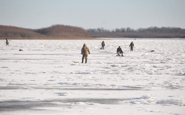 Свободненских рыбаков не пугает опасность ледостава на реке Зея. Новости