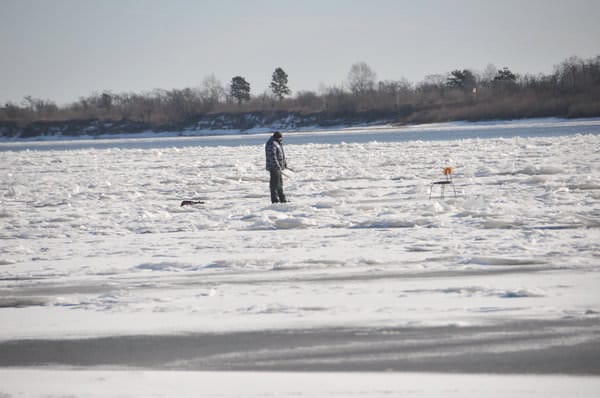 Свободненских рыбаков не пугает опасность ледостава на реке Зея. Новости