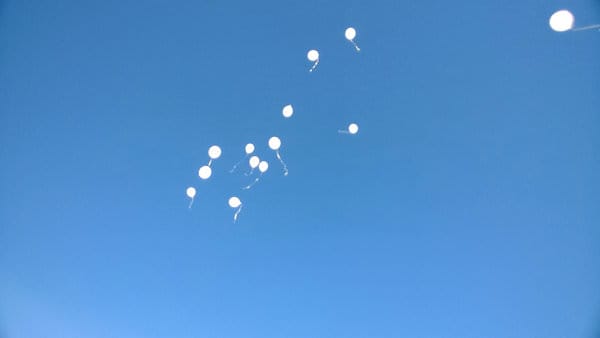 Свободненские школьники запустили белые шары в память о погибших на дорогах. Новости