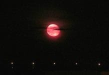 Амурчане увидят «кровавую Луну» в ночь на 1 февраля