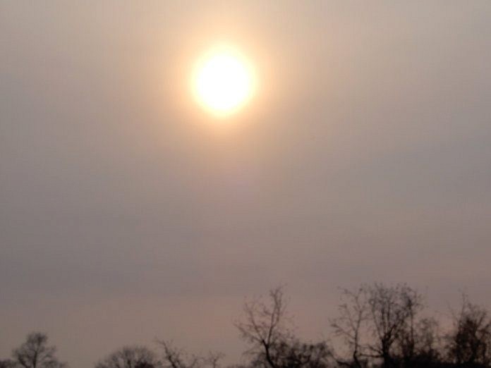 Почти 700 человек тушат лесные пожары в Приамурье