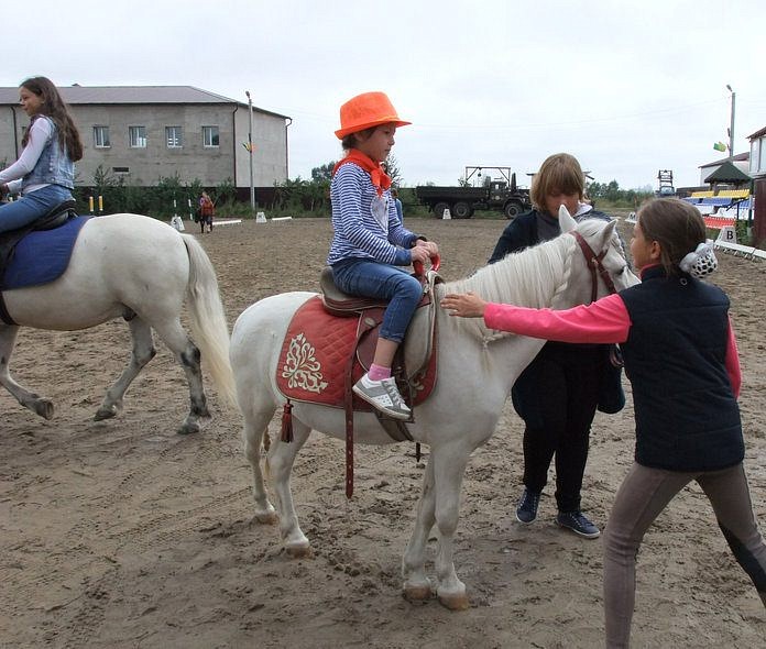 Проекты по иппотерапии и конному спорту в Приамурье хотят поддержать президентским грантом