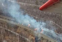 Поджигателей в лесу увидели с борта самолёта Амурской авиабазы