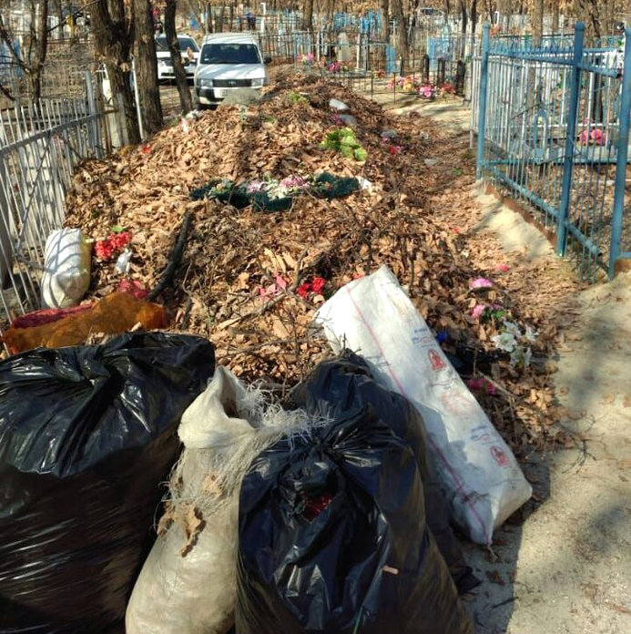 Накануне Радоницы свободненцы обнаружили на кладбище упавшее на могилы дерево