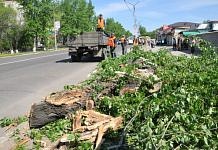 С улиц Свободного убирают опасные деревья