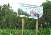 Около села Сычёвка в Свободненском районе фермер нашёл сироту-медвежонка