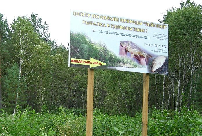 Около села Сычёвка в Свободненском районе фермер нашёл сироту-медвежонка