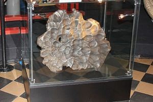 30 лет назад в Свободненском районе нашли самый крупный в Приамурье метеорит «Сычёвка»