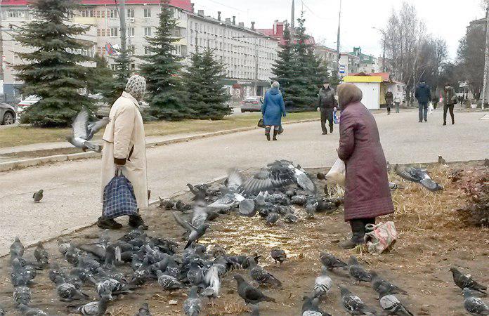 В России будущие пенсионеры потеряли миллиард рублей