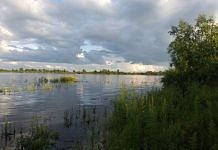 Уровень воды на реке Зея около Свободного за сутки снизился ещё на пять сантиметров