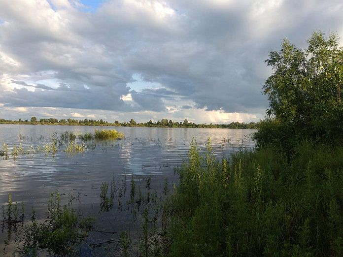 Уровень воды на реке Зея около Свободного за сутки снизился ещё на пять сантиметров