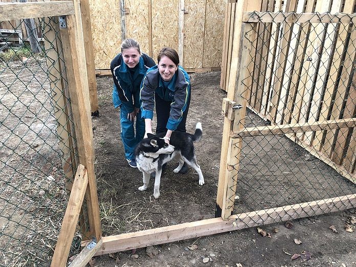 Первый вольер для бездомных животных в Свободном открыт благодаря программе волонтёрства СИБУРа